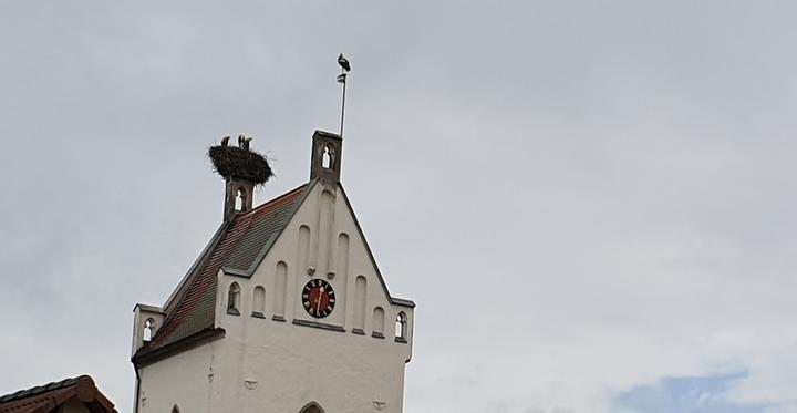 Gasthaus Zum Hirschen